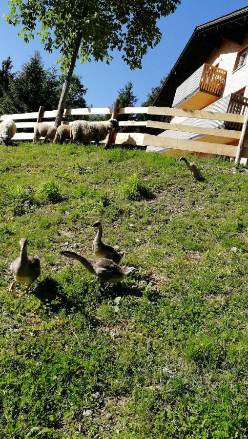 Ferienhaus Am Waldrand Von Egg Bregenzer Wald Eksteriør bilde