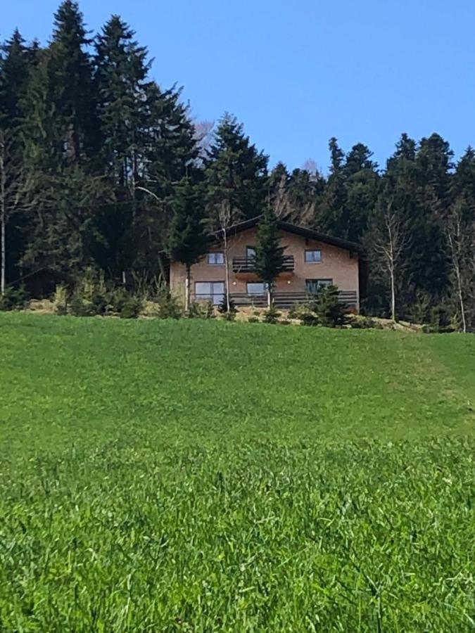 Ferienhaus Am Waldrand Von Egg Bregenzer Wald Eksteriør bilde