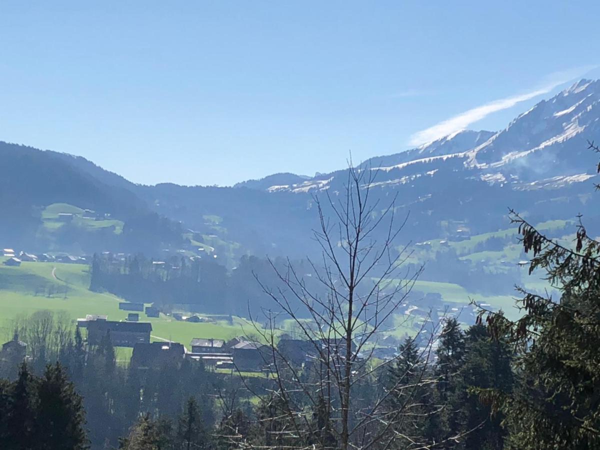 Ferienhaus Am Waldrand Von Egg Bregenzer Wald Eksteriør bilde