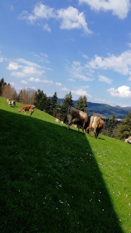 Ferienhaus Am Waldrand Von Egg Bregenzer Wald Eksteriør bilde